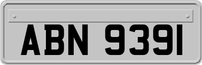 ABN9391