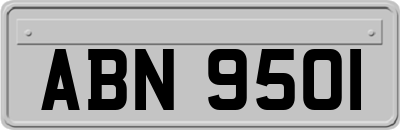 ABN9501