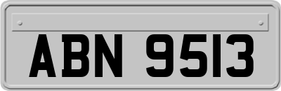 ABN9513