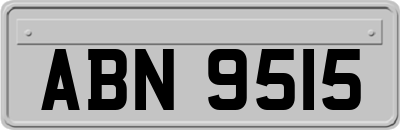 ABN9515