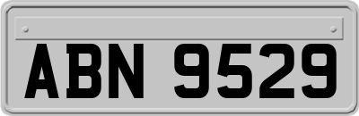 ABN9529