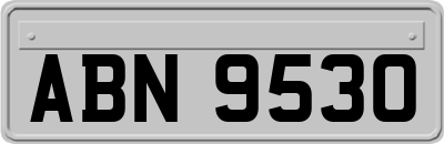 ABN9530