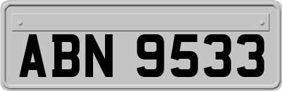 ABN9533