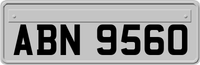 ABN9560