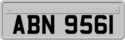 ABN9561