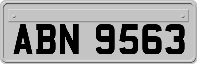ABN9563