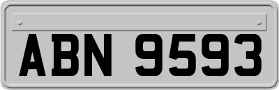 ABN9593