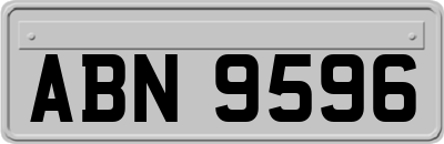 ABN9596