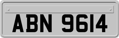 ABN9614