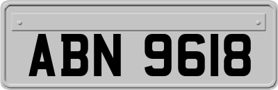 ABN9618