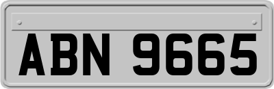 ABN9665