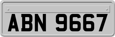 ABN9667