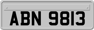ABN9813