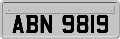 ABN9819