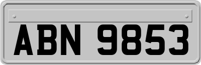 ABN9853