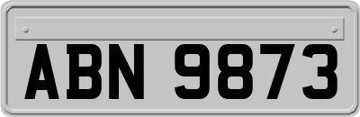 ABN9873