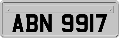 ABN9917