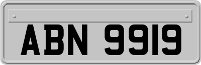 ABN9919