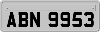 ABN9953
