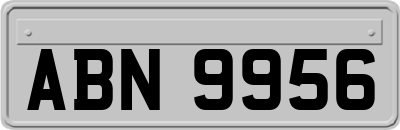 ABN9956