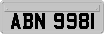 ABN9981