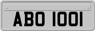 ABO1001