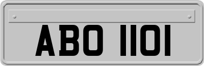 ABO1101