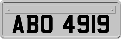 ABO4919