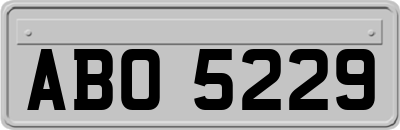 ABO5229