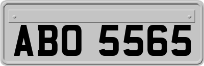 ABO5565