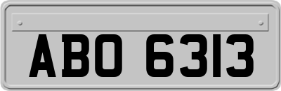 ABO6313