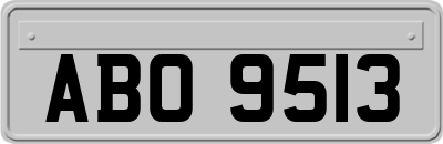 ABO9513