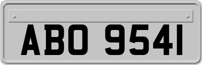 ABO9541