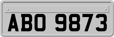 ABO9873