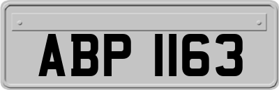 ABP1163