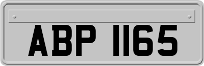 ABP1165