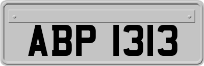 ABP1313