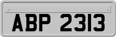 ABP2313