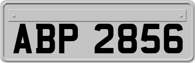 ABP2856
