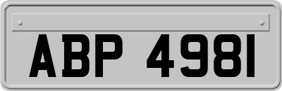 ABP4981