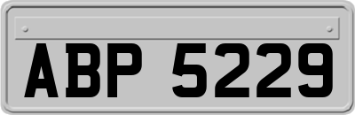ABP5229