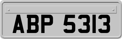 ABP5313