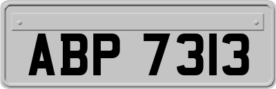 ABP7313