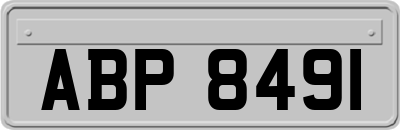 ABP8491