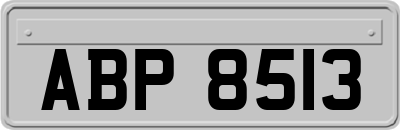 ABP8513
