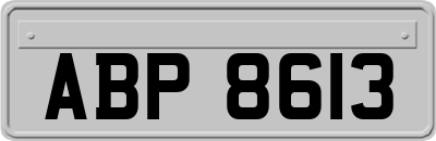 ABP8613