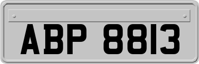 ABP8813