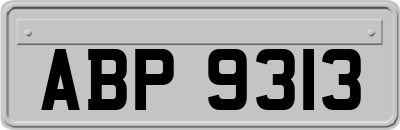 ABP9313
