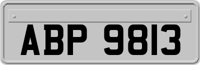 ABP9813