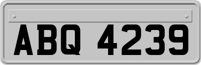 ABQ4239